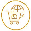D2C & E-commerce Strategy